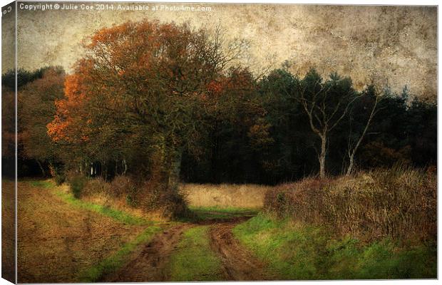 Between Trees Canvas Print by Julie Coe