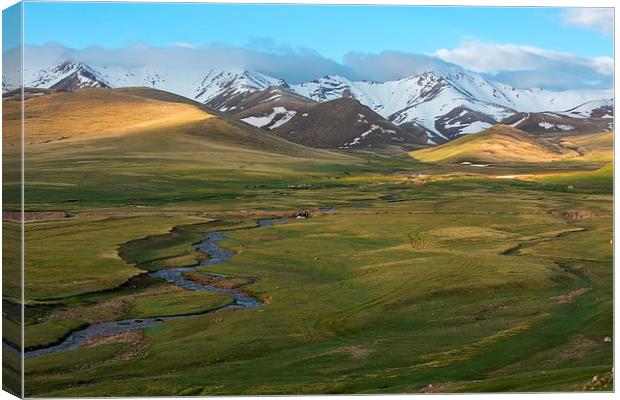 Kirghizias highlands Canvas Print by Sergey Golotvin