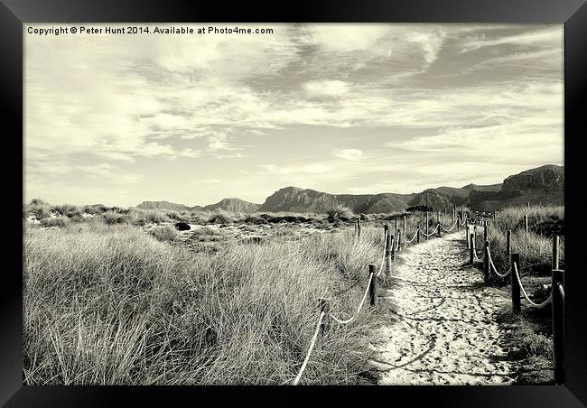 A Walk Through The Dunes Framed Print by Peter F Hunt