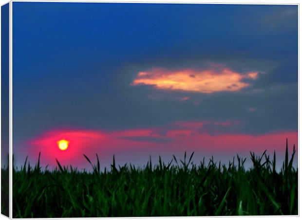 Sunset From The Grass Canvas Print by Erzsebet Bak