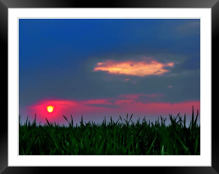 Sunset From The Grass Framed Mounted Print by Erzsebet Bak