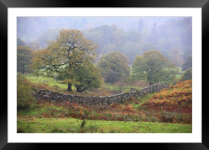 Cumbrian Landscape Framed Mounted Print by Ceri Jones