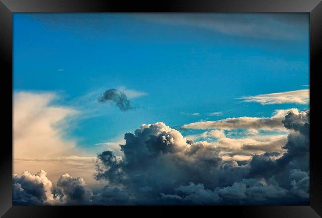 Cumulus Cloud Patterns Framed Print by Liz Shewan