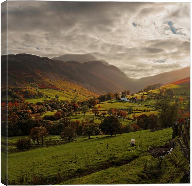 Cumbrian Farming Landscape Canvas Print by Ceri Jones