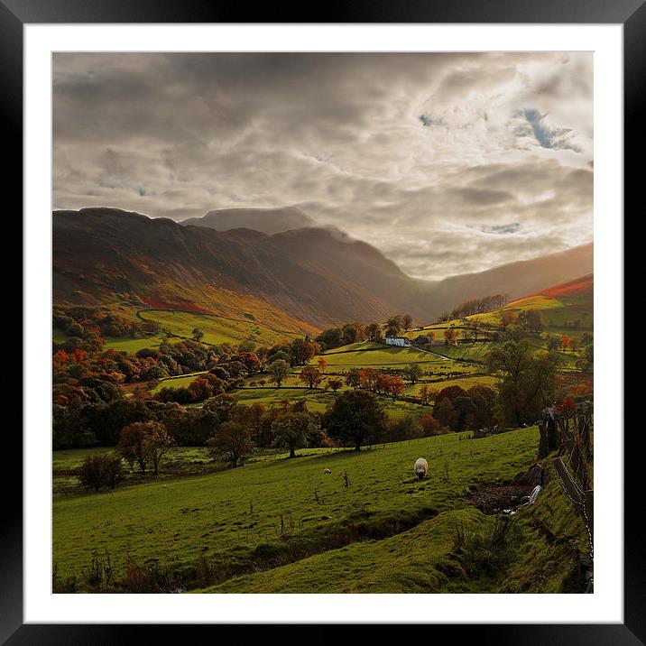 Cumbrian Farming Landscape Framed Mounted Print by Ceri Jones