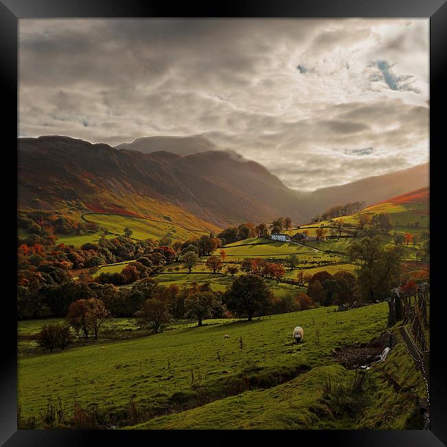 Cumbrian Farming Landscape Framed Print by Ceri Jones