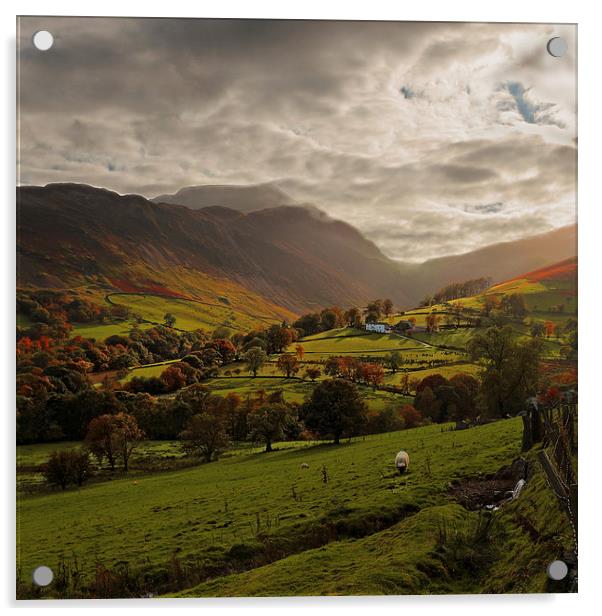 Cumbrian Farming Landscape Acrylic by Ceri Jones