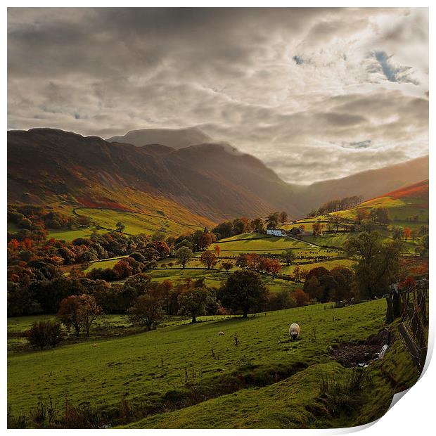 Cumbrian Farming Landscape Print by Ceri Jones
