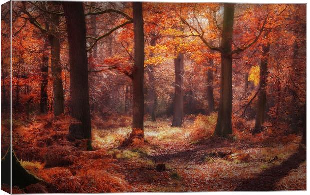 Autumn Colours Canvas Print by Ceri Jones