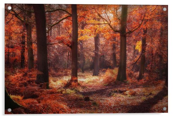 Autumn Colours Acrylic by Ceri Jones