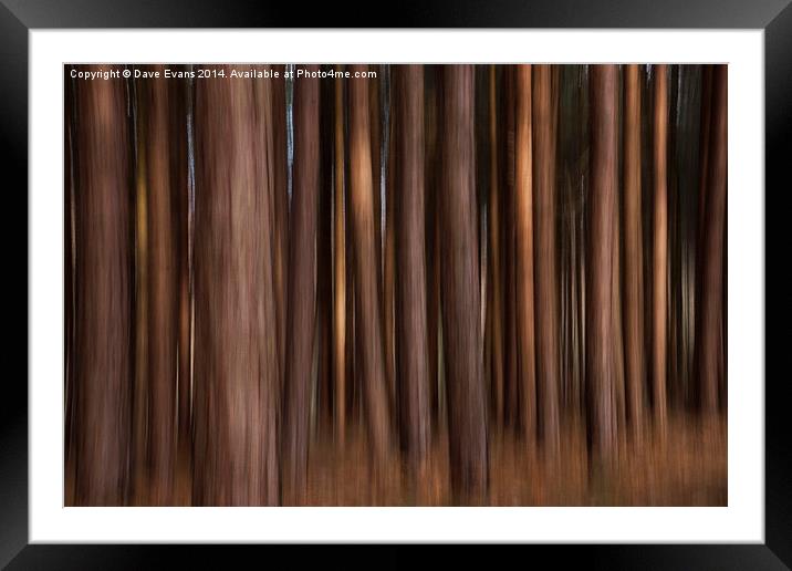 Abstract Trees Framed Mounted Print by Dave Evans