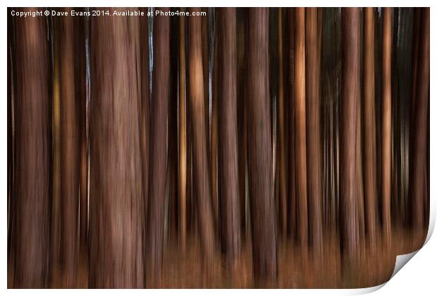 Abstract Trees Print by Dave Evans