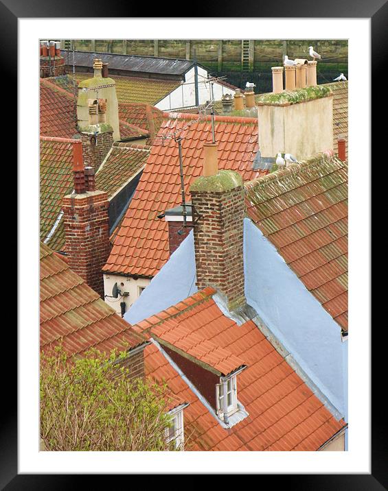Rooftops of Whitby Framed Mounted Print by Lindsay Parkin