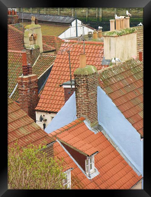 Rooftops of Whitby Framed Print by Lindsay Parkin