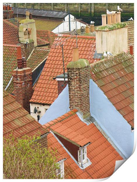 Rooftops of Whitby Print by Lindsay Parkin