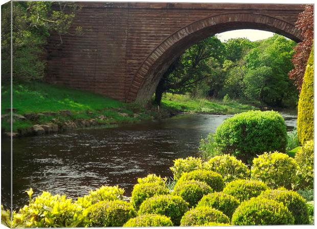 Bushes , Bridge and River Canvas Print by Bill Lighterness