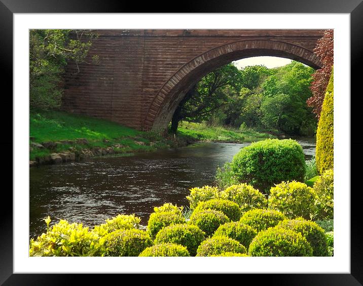 Bushes , Bridge and River Framed Mounted Print by Bill Lighterness