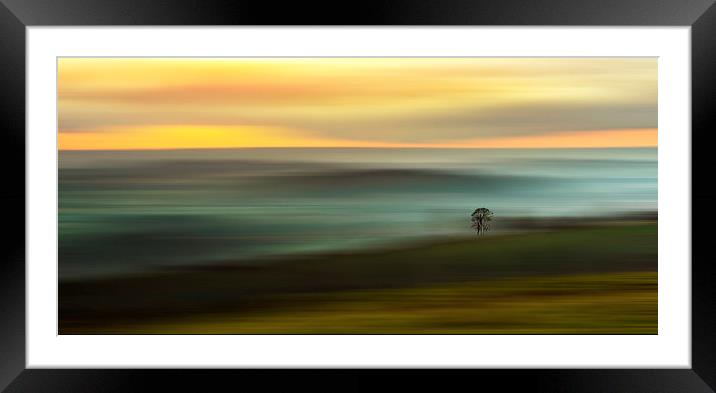 The Lonesome Tree Framed Mounted Print by Ceri Jones