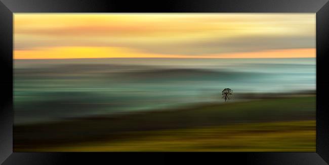 The Lonesome Tree Framed Print by Ceri Jones