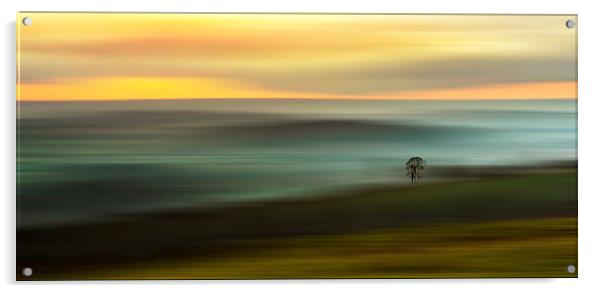 The Lonesome Tree Acrylic by Ceri Jones