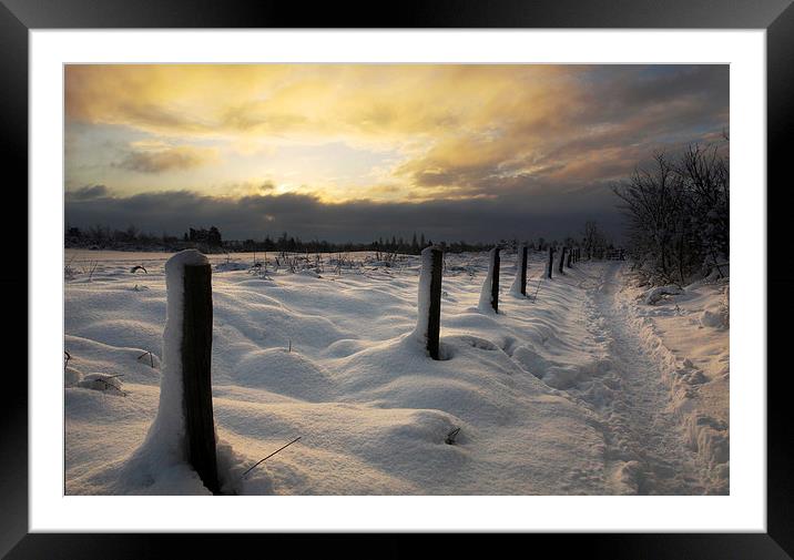 Winter Sunrise Framed Mounted Print by Ceri Jones