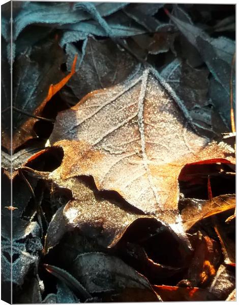 Crispy Winter Leaves! Canvas Print by Eleanor McCabe