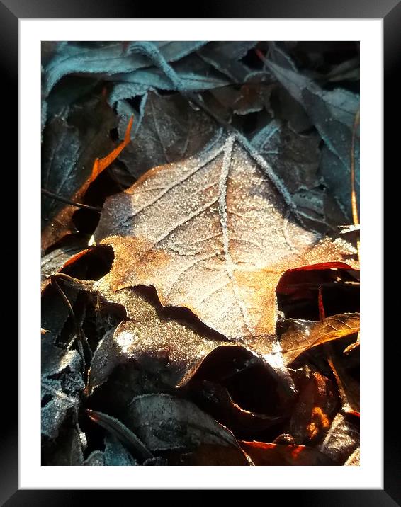 Crispy Winter Leaves! Framed Mounted Print by Eleanor McCabe