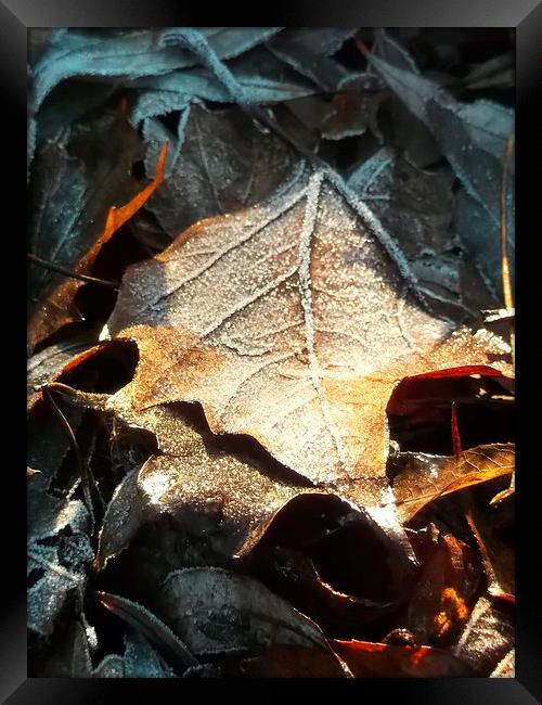 Crispy Winter Leaves! Framed Print by Eleanor McCabe
