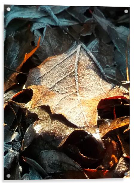 Crispy Winter Leaves! Acrylic by Eleanor McCabe