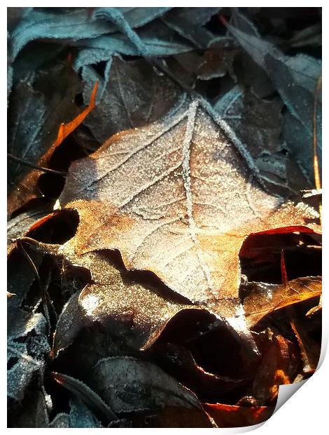 Crispy Winter Leaves! Print by Eleanor McCabe