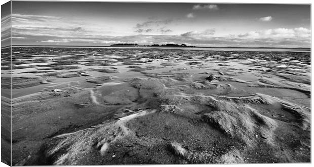 The open sands of Wells Canvas Print by Mark Bunning