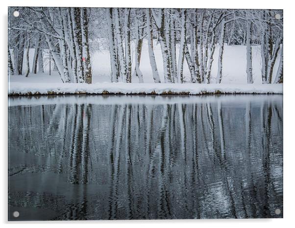 Reflection Acrylic by Jan Venter