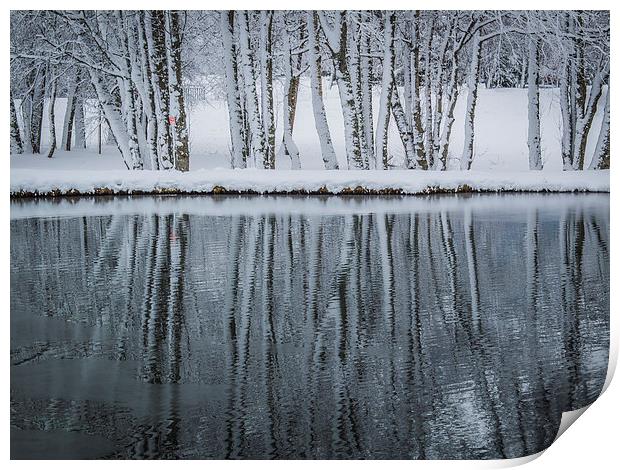 Reflection Print by Jan Venter