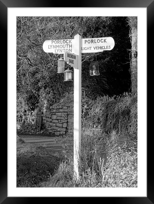 Bird Feeder Signpost Framed Mounted Print by Mike Gorton