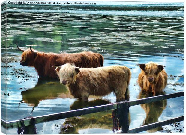 Highland Cattle Cooling Canvas Print by Andy Anderson