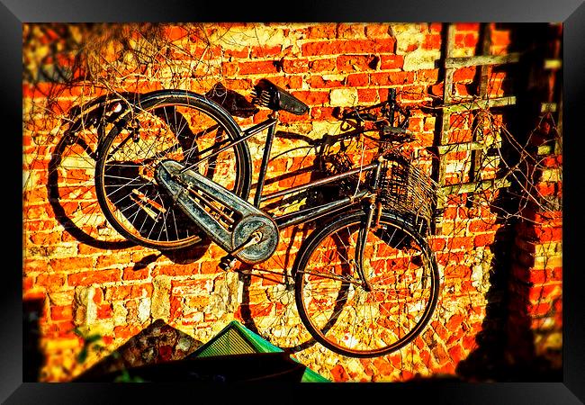 The Bicycle Framed Print by chrissy woodhouse