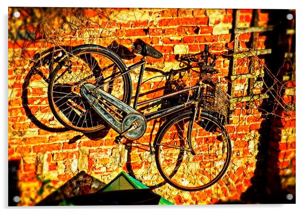 The Bicycle Acrylic by chrissy woodhouse