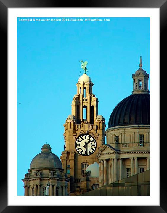 Royal liver building Framed Mounted Print by macaulay sanders