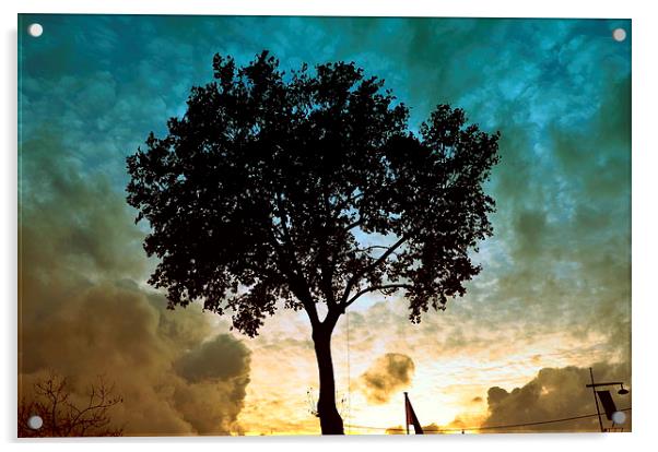 Tree & Clouds Acrylic by Marco Buresti