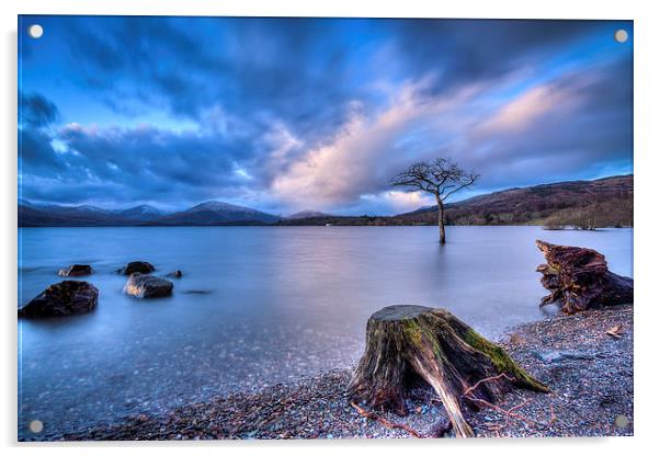 Milarrochy bay Loch Lomond Scotland Acrylic by Paul Messenger