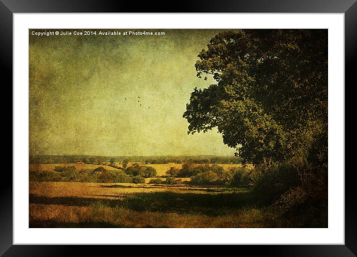 Along The Field Framed Mounted Print by Julie Coe