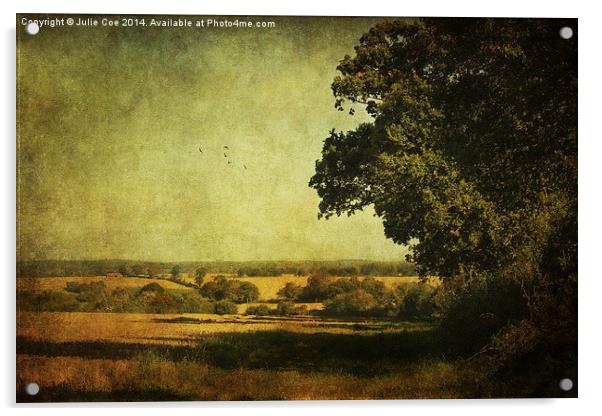 Along The Field Acrylic by Julie Coe