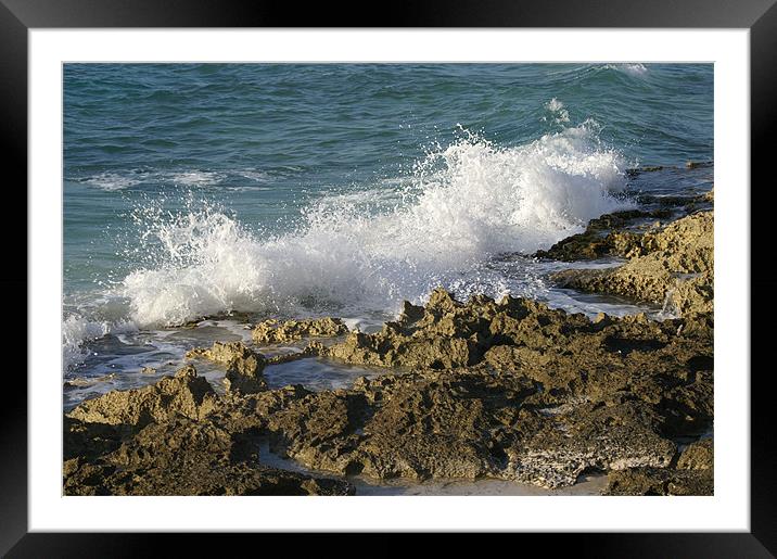 Crashing on the rocks Framed Mounted Print by Stacey Cook