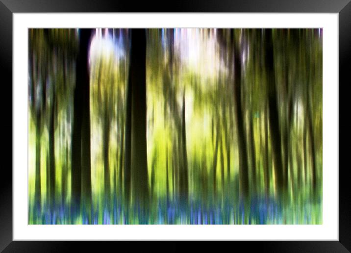 Bluebell Wood Framed Mounted Print by Rick Parrott