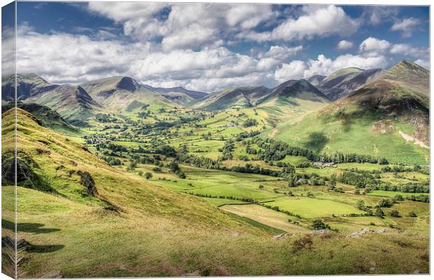 View from Catbells, The Lake District Canvas Print by Diane Griffiths