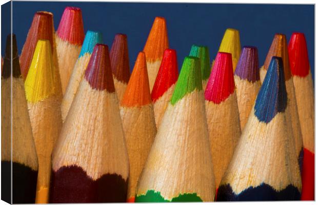 Coloured Pencils Canvas Print by Rick Parrott
