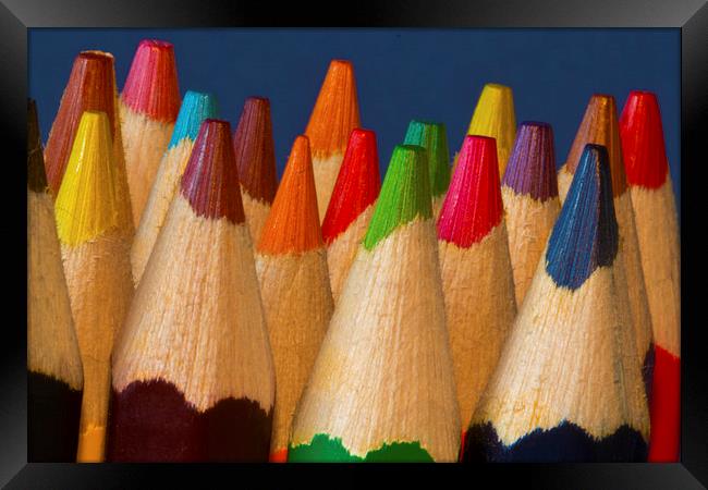 Coloured Pencils Framed Print by Rick Parrott