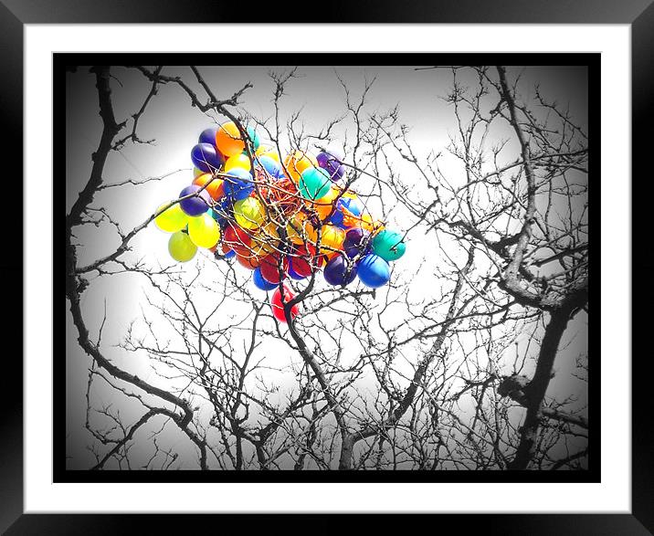 Lost Balloons In New York Framed Mounted Print by Terry Lee