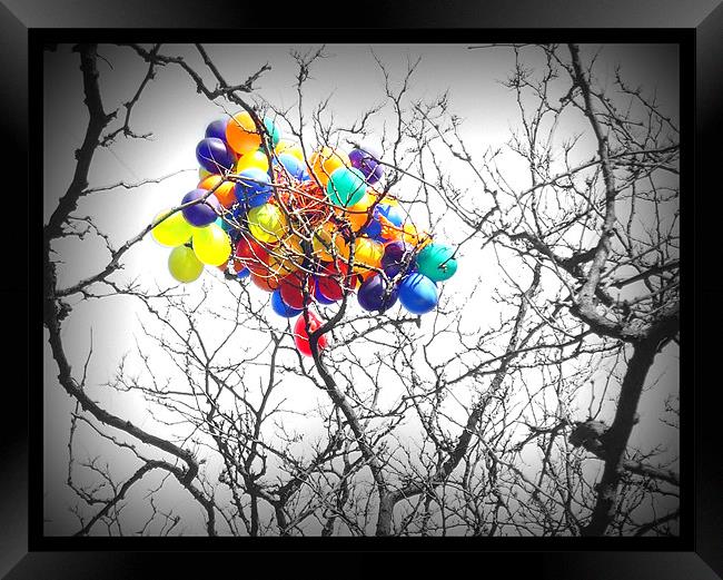 Lost Balloons In New York Framed Print by Terry Lee
