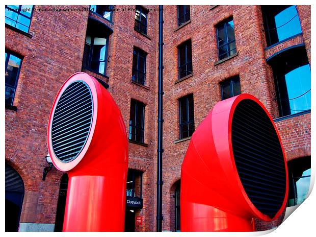 Red vents Print by macaulay sanders